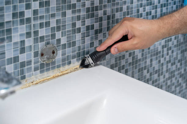 Best Mold Remediation for Specific Building Types in Floresville, TX